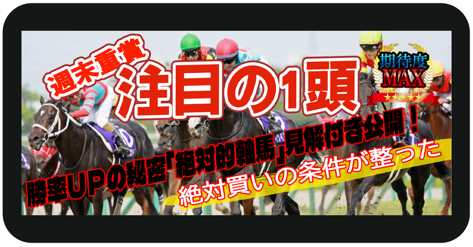 競馬リポート ┃ 注目の一頭